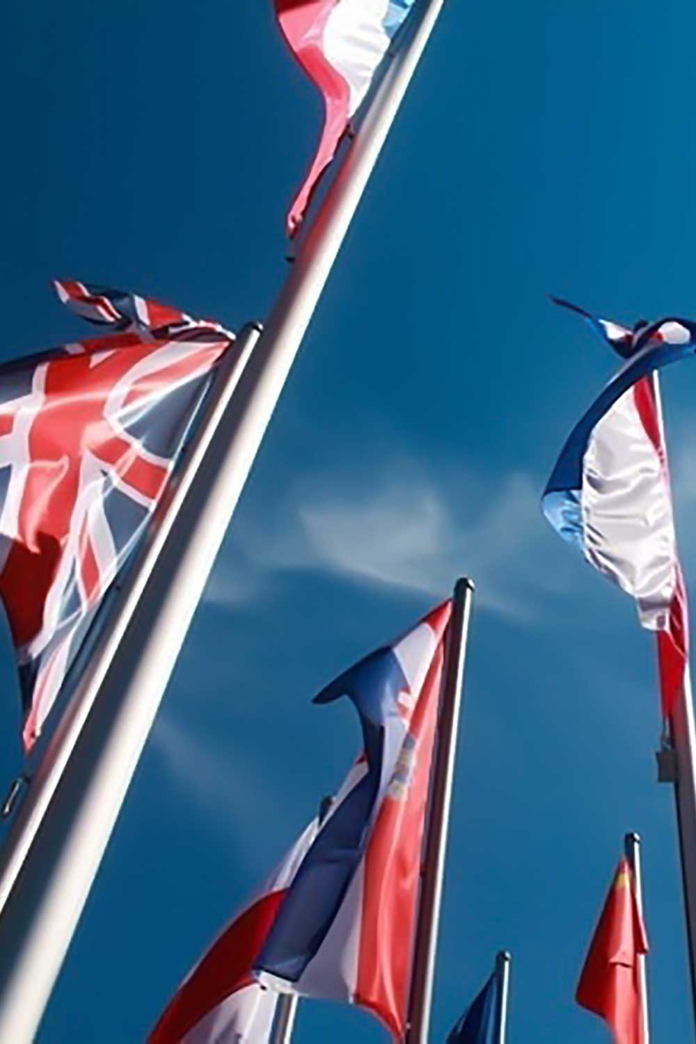 This image for Image Layouts addon